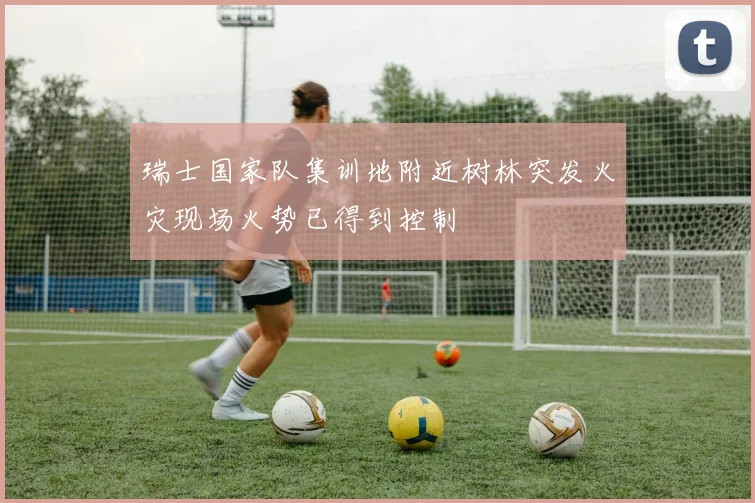 瑞士国家队集训地附近树林突发火灾现场火势已得到控制