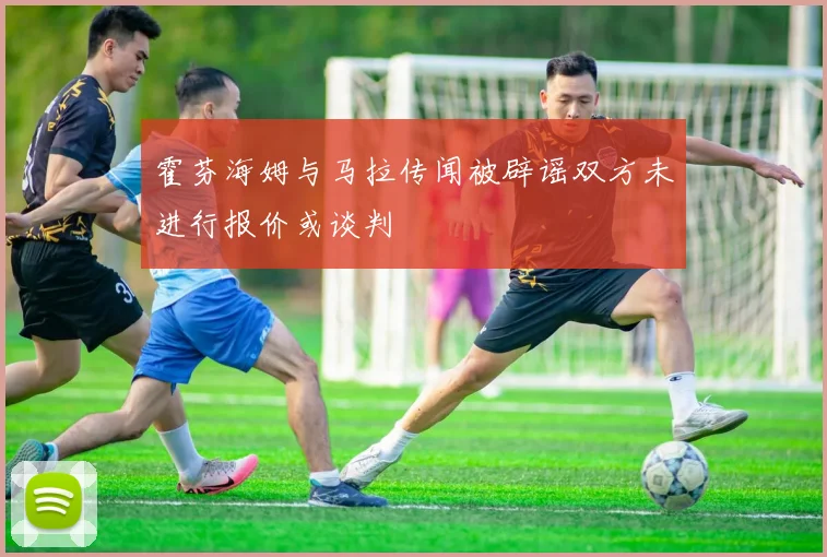 霍芬海姆与马拉传闻被辟谣双方未进行报价或谈判